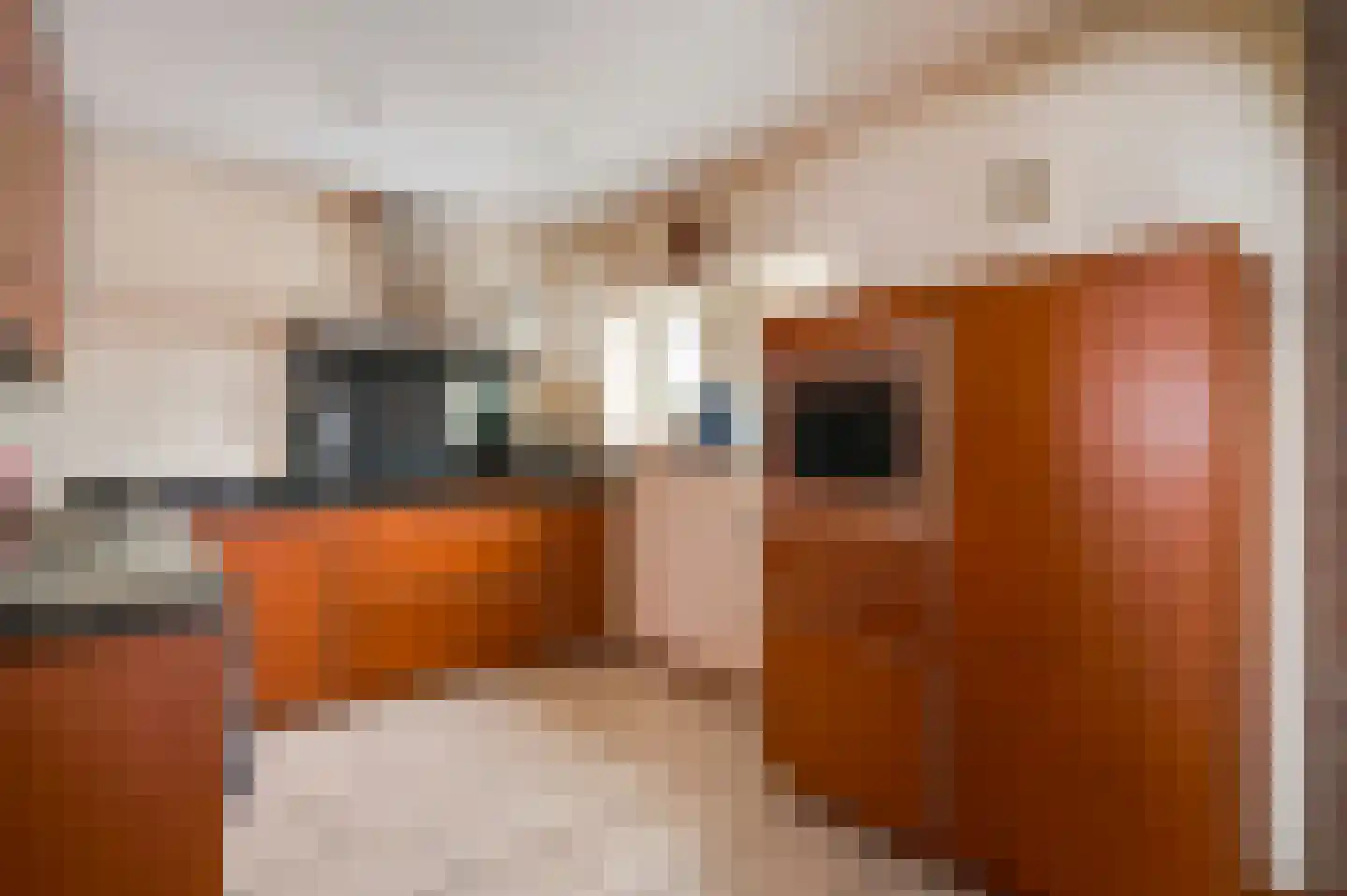 Hoofdstraat 47 Herkenbosch thumbnail 5