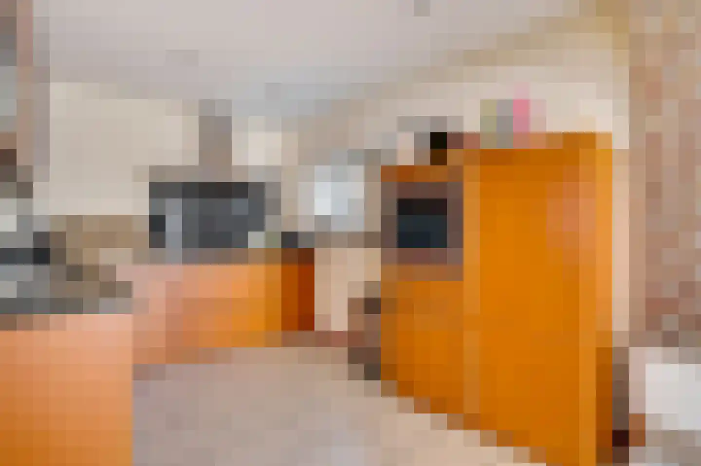 Hoofdstraat 47 Herkenbosch thumbnail 6