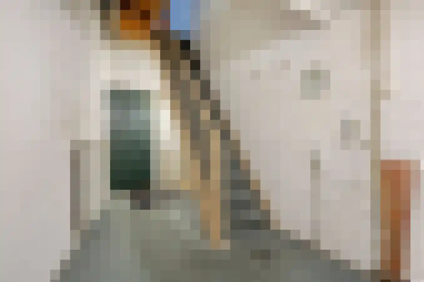 Hoofdstraat 47 Meppel thumbnail 13