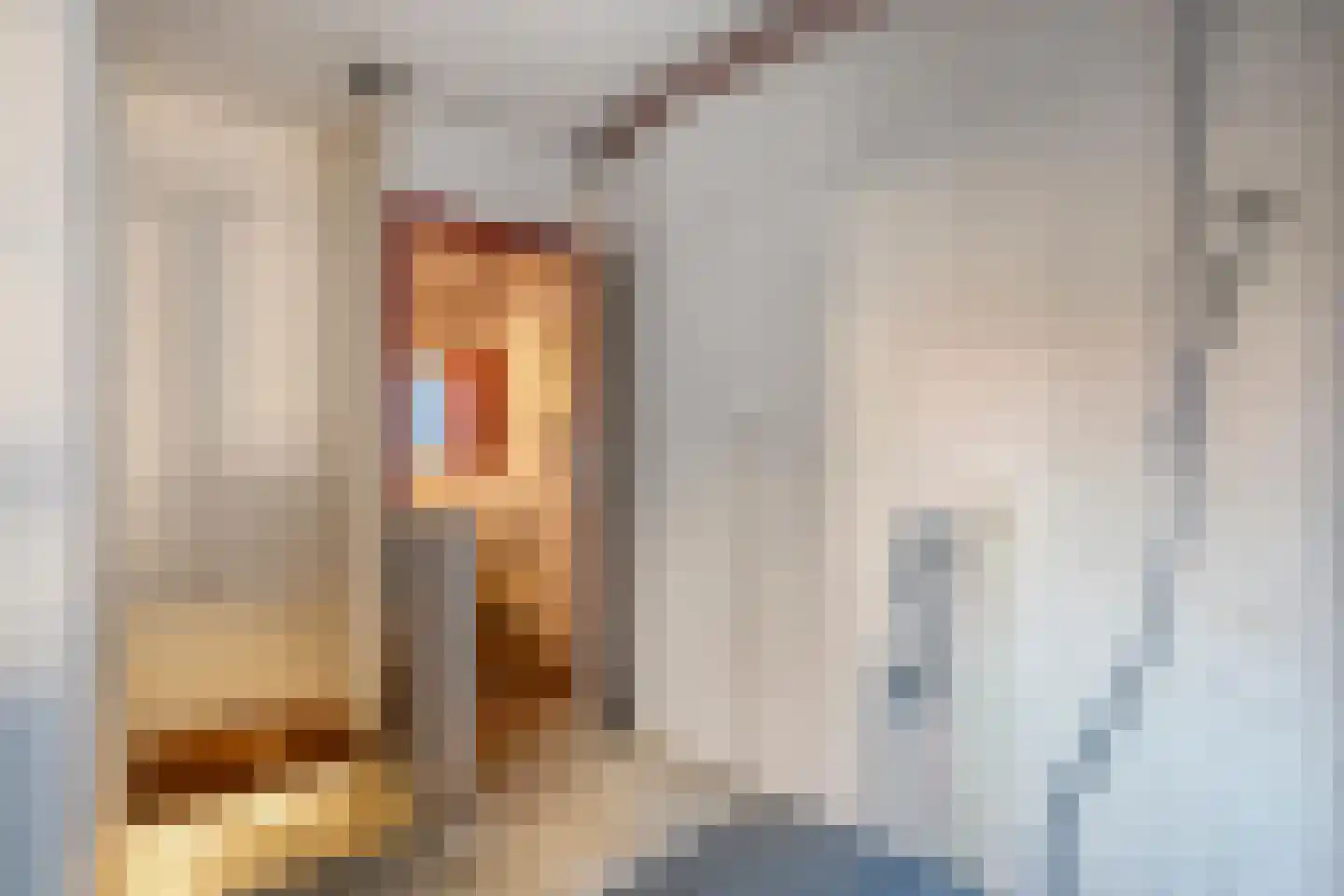 Hoofdstraat 47 Meppel thumbnail 14