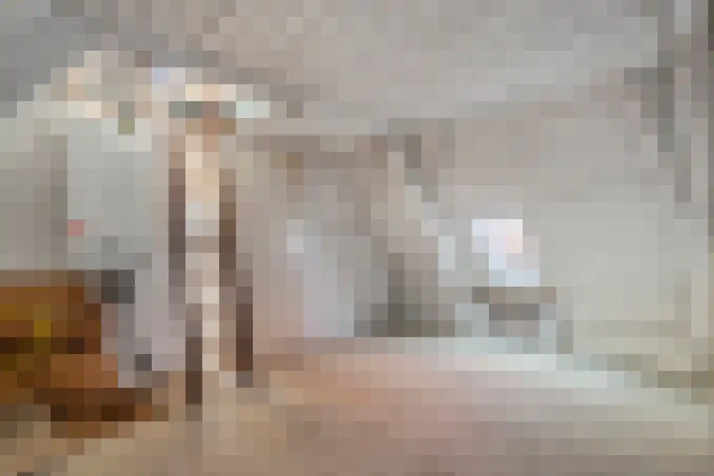 Hoofdstraat 47 Meppel thumbnail 24