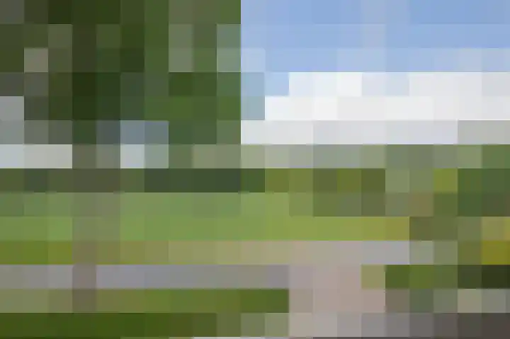 Hoofdstraat 47 Zeijen thumbnail 30