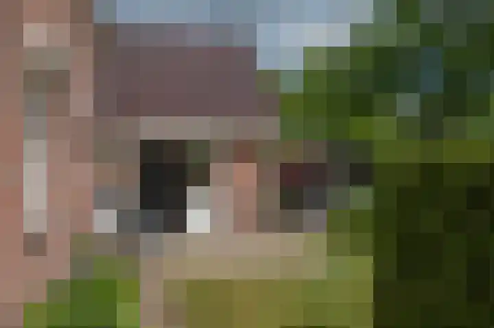 Hoofdstraat 47 Zeijen thumbnail 39