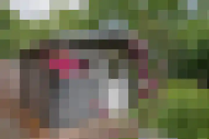 Hoofdstraat 47 Zeijen thumbnail 41