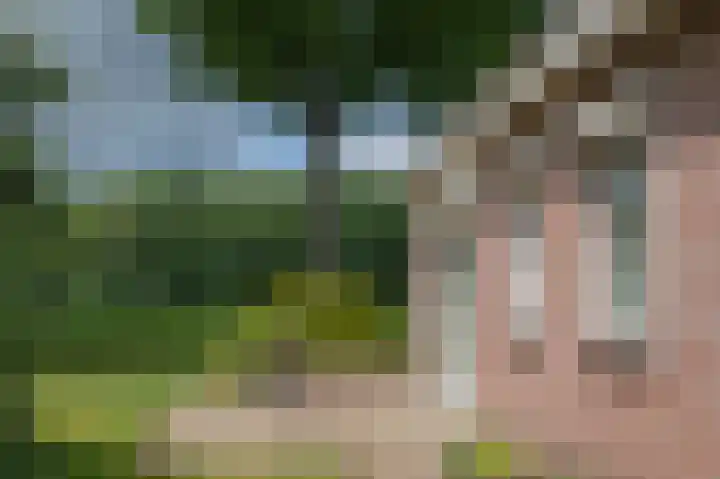 Hoofdstraat 47 Zeijen thumbnail 42