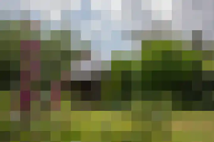 Hoofdstraat 47 Zeijen thumbnail 43