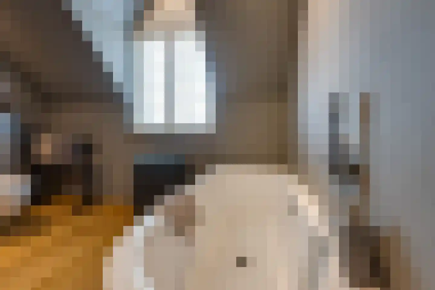 Hoofdstraat 47 Zevenbergschen Hoek thumbnail 26