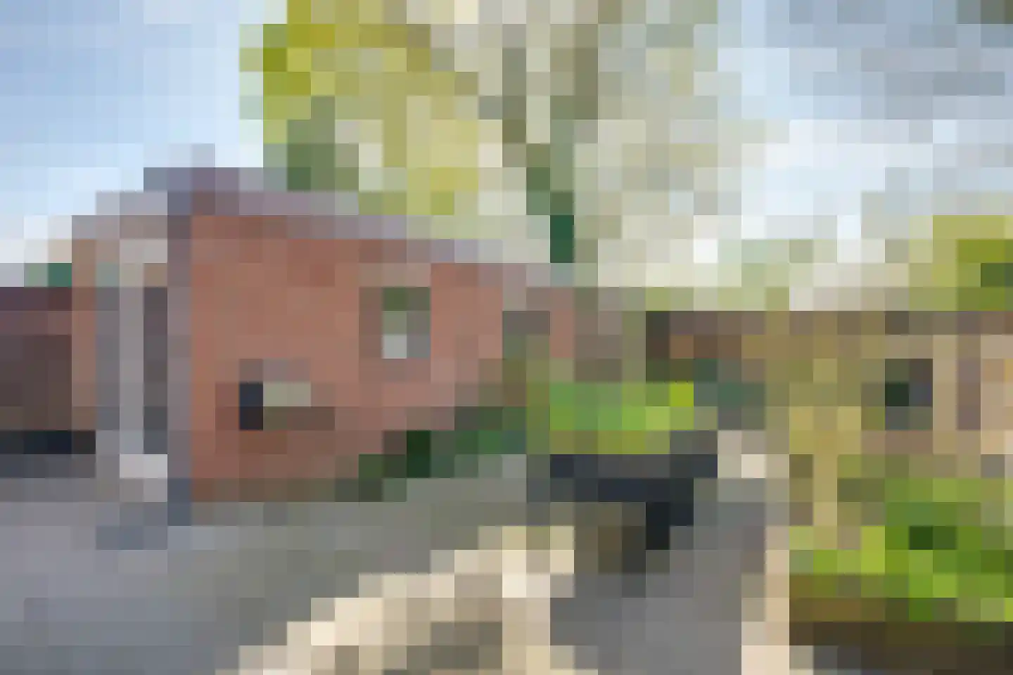 Hoofdstraat 47 Zevenbergschen Hoek thumbnail 40