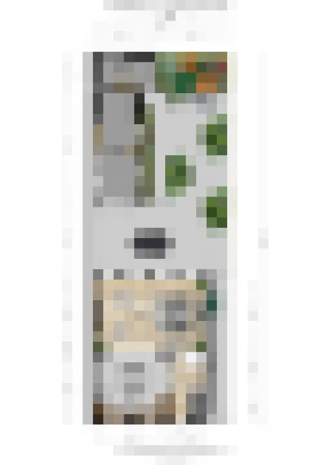 Hoofdstraat 47 Zevenbergschen Hoek thumbnail 55