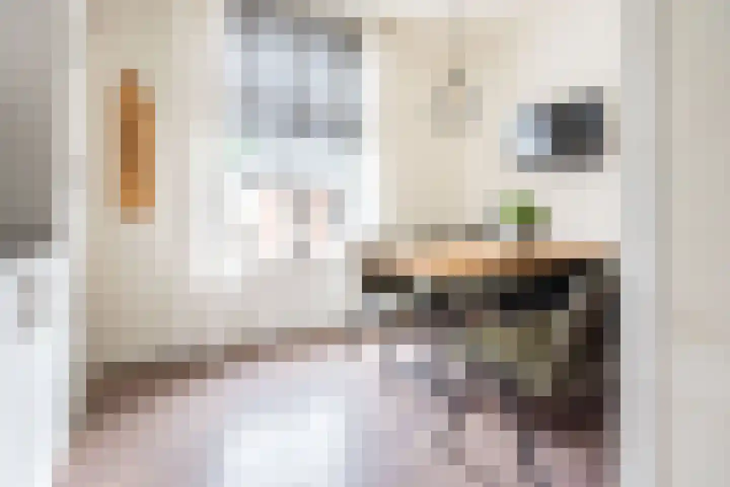 Hoofdstraat 48 A Terborg thumbnail 12