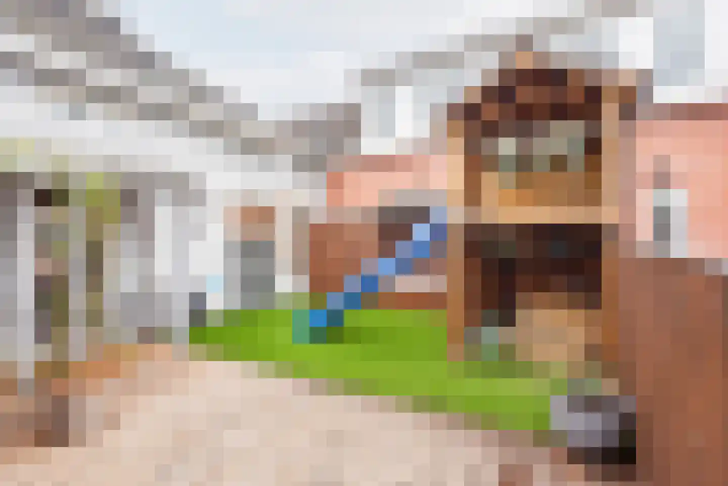 Hoofdstraat 48 A Terborg thumbnail 38