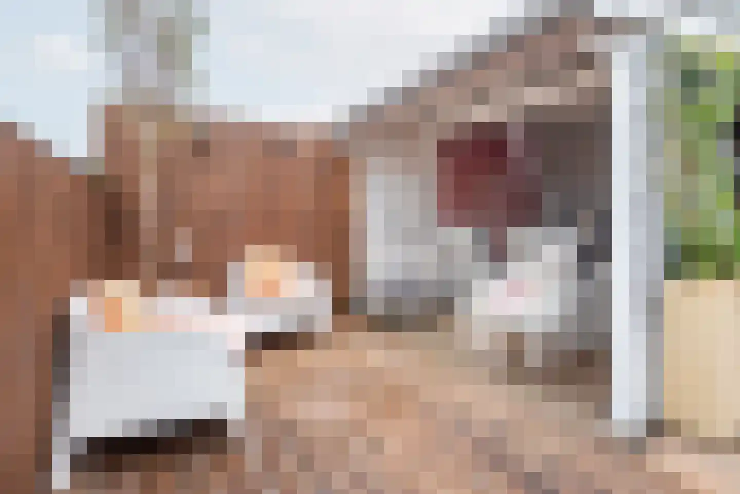 Hoofdstraat 48 A Terborg thumbnail 40