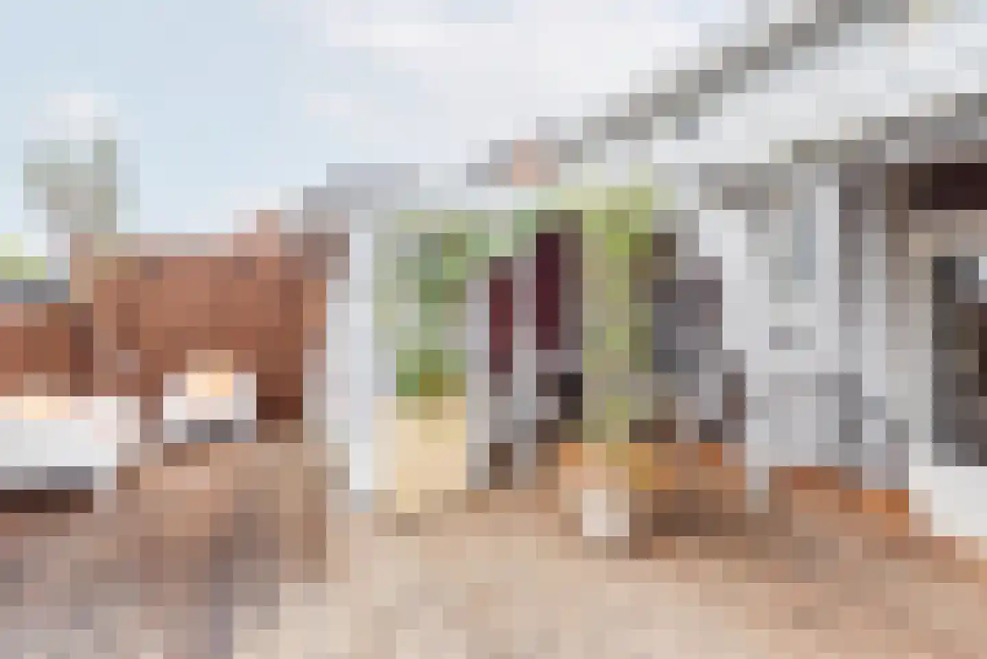 Hoofdstraat 48 A Terborg thumbnail 43