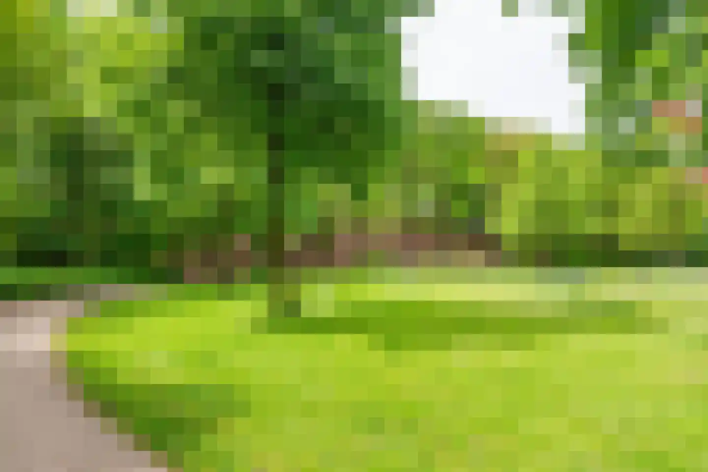 Hoofdstraat 48 A Terborg thumbnail 49