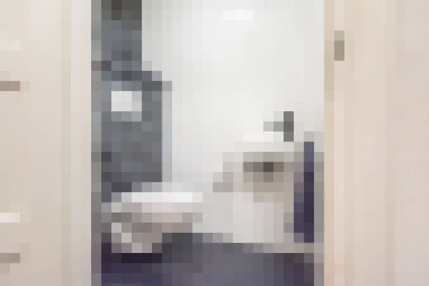 Hoofdstraat 48 A Terborg thumbnail 9