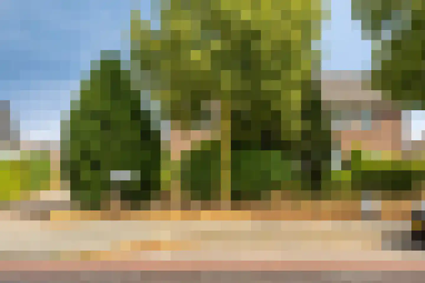 Hoofdstraat 48 Helmond thumbnail 9