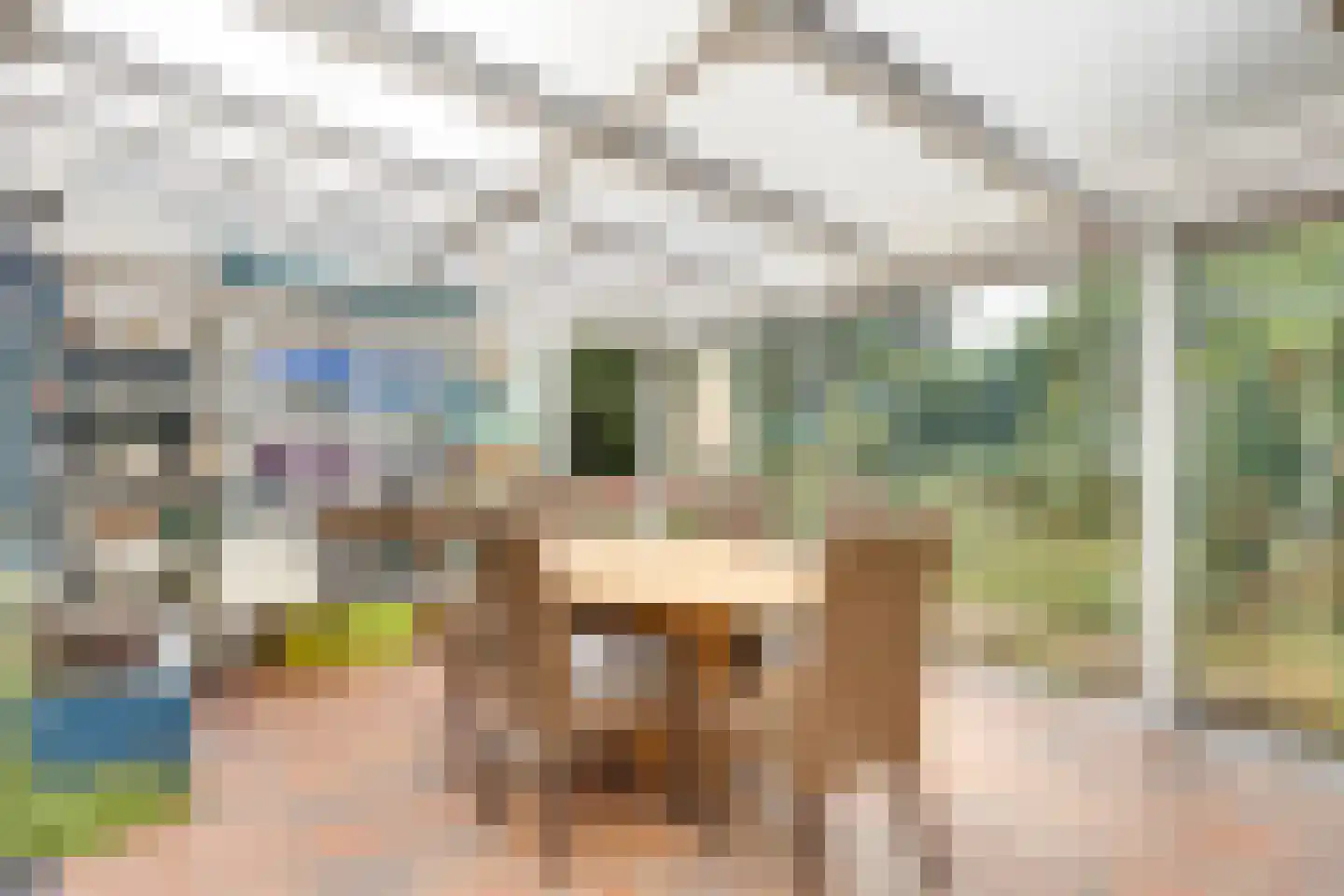Hoofdstraat 48 Liessel thumbnail 17