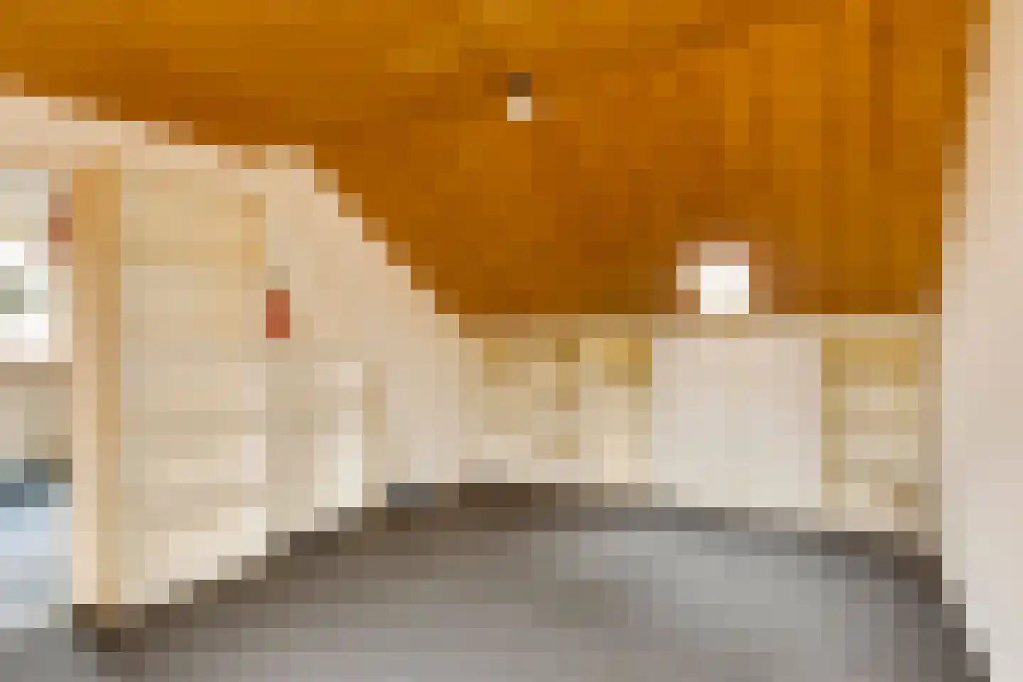 Hoofdstraat 48 Liessel thumbnail 26