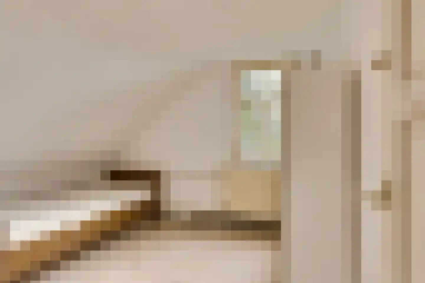Hoofdstraat 48 Liessel thumbnail 28