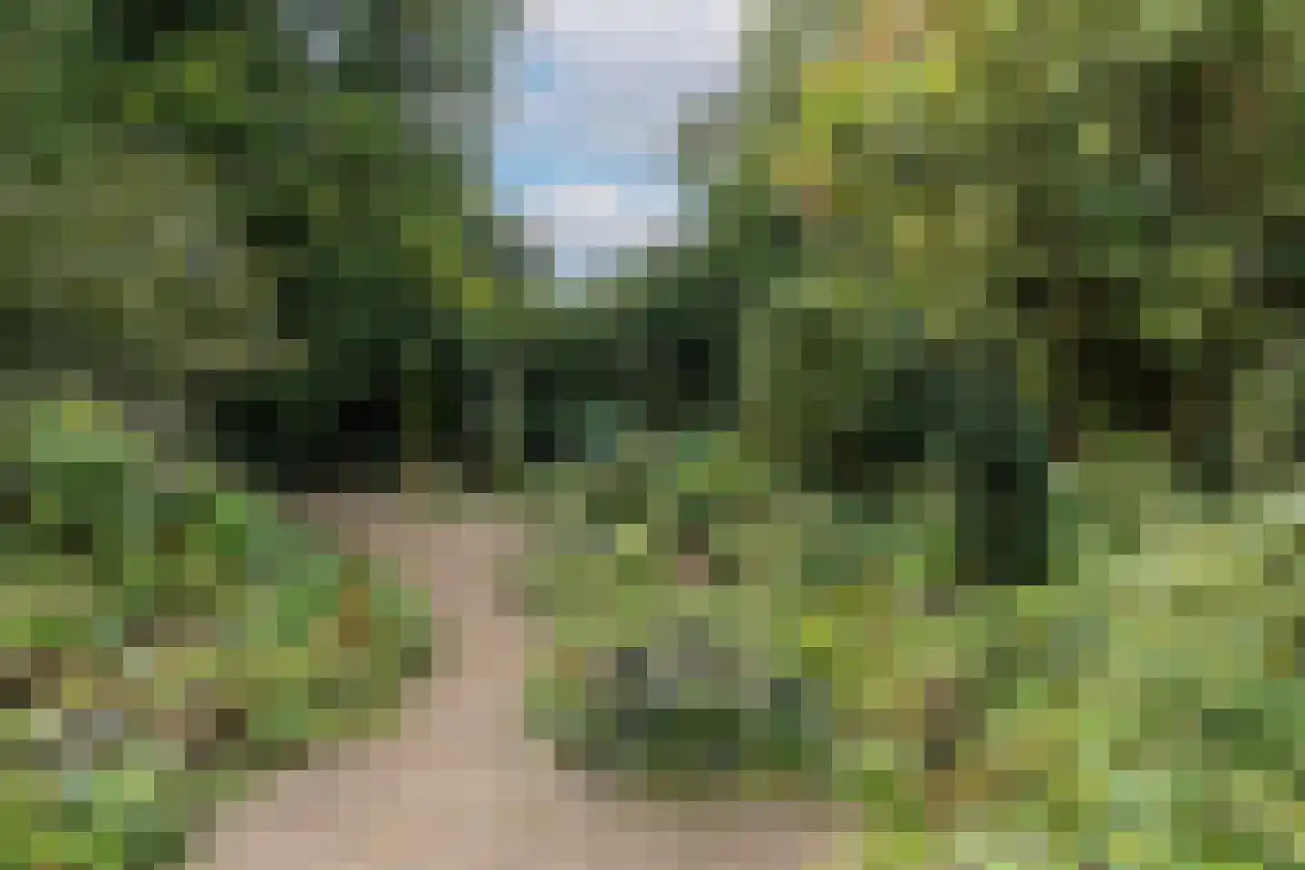 Hoofdstraat 48 Liessel thumbnail 37