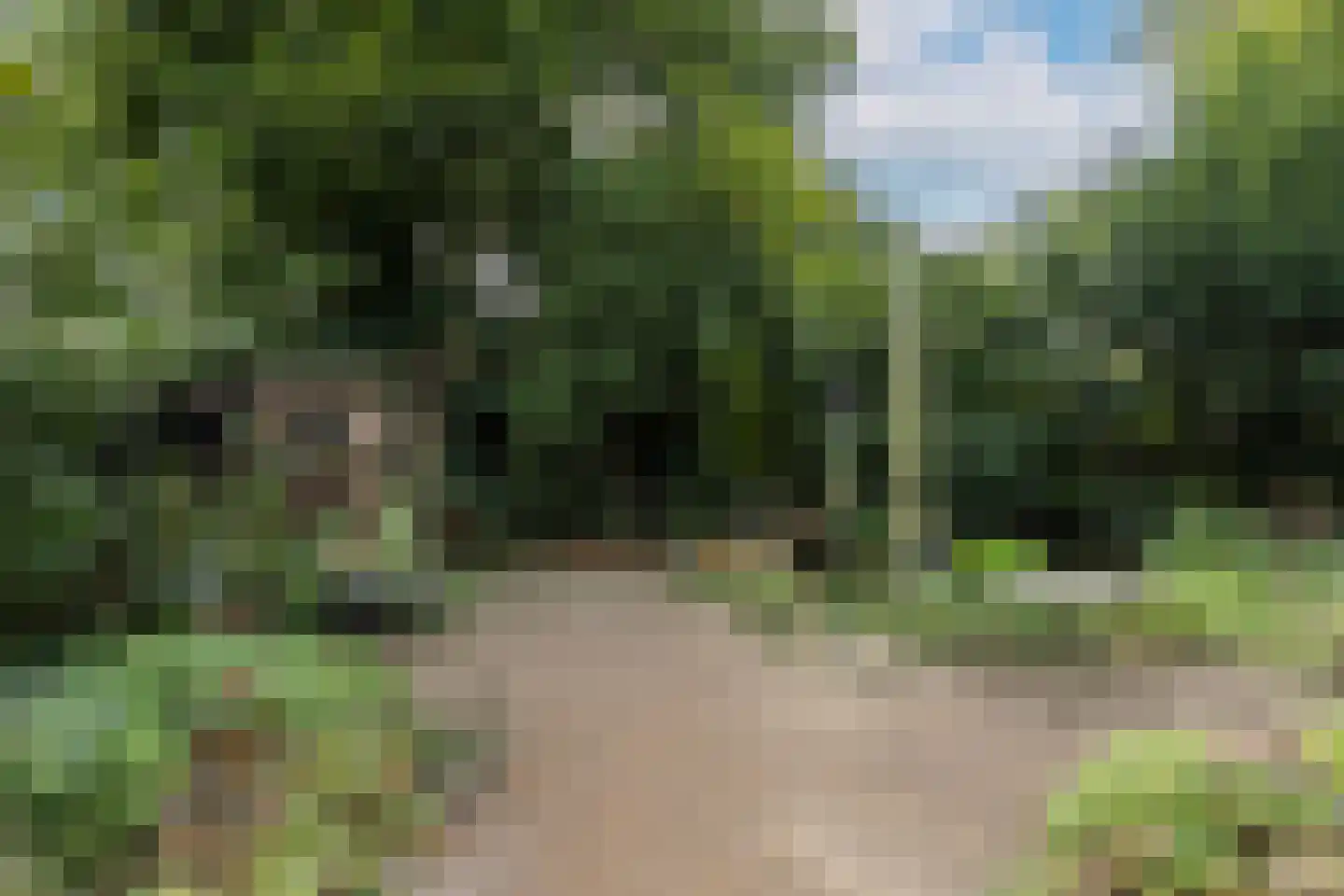 Hoofdstraat 48 Liessel thumbnail 38