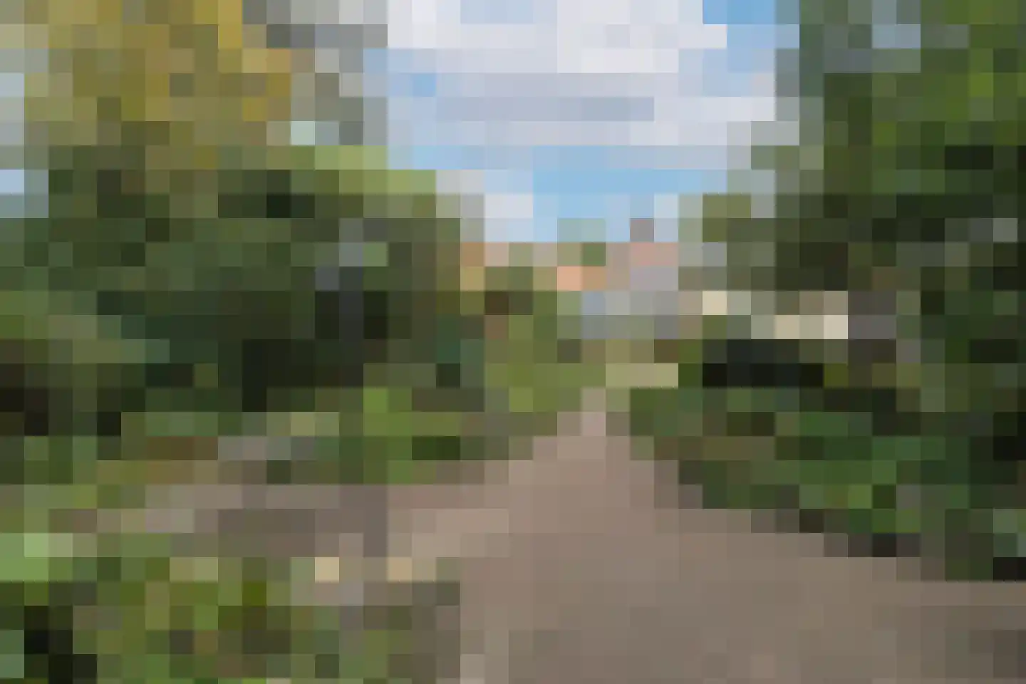 Hoofdstraat 48 Liessel thumbnail 43