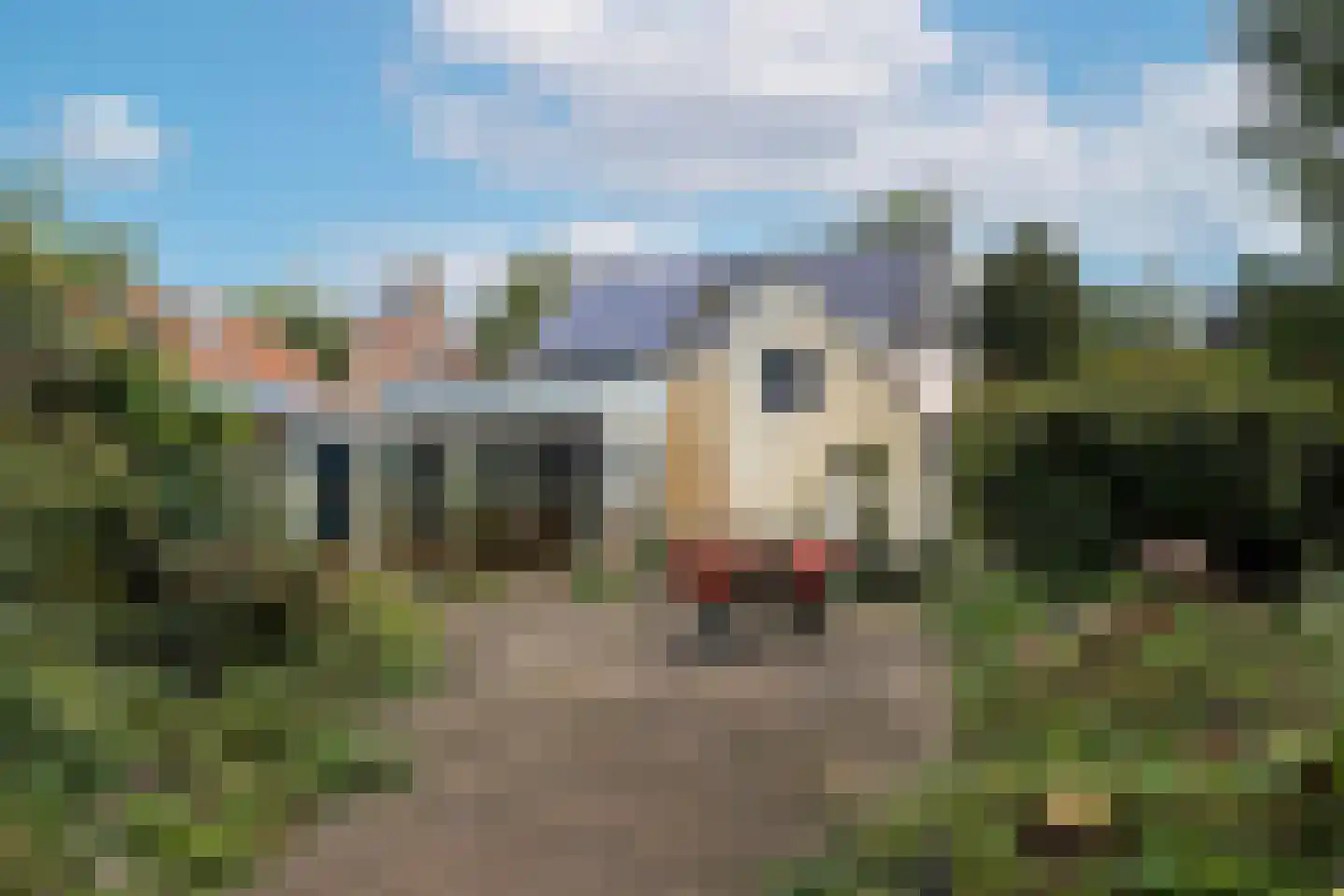 Hoofdstraat 48 Liessel thumbnail 44