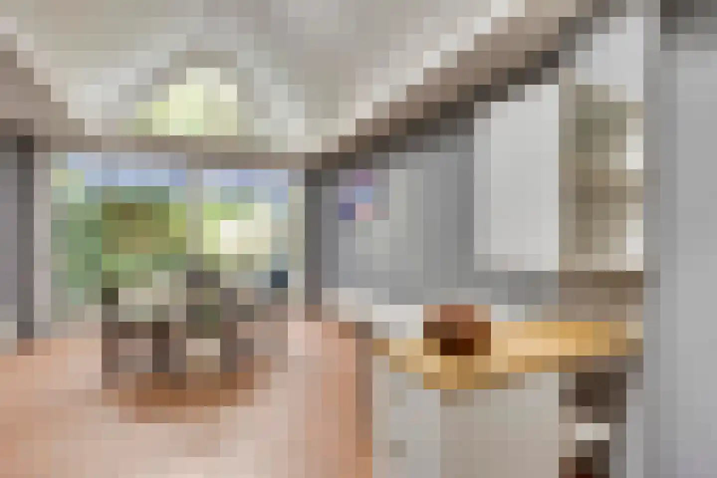 Hoofdstraat 48 Liessel thumbnail 46