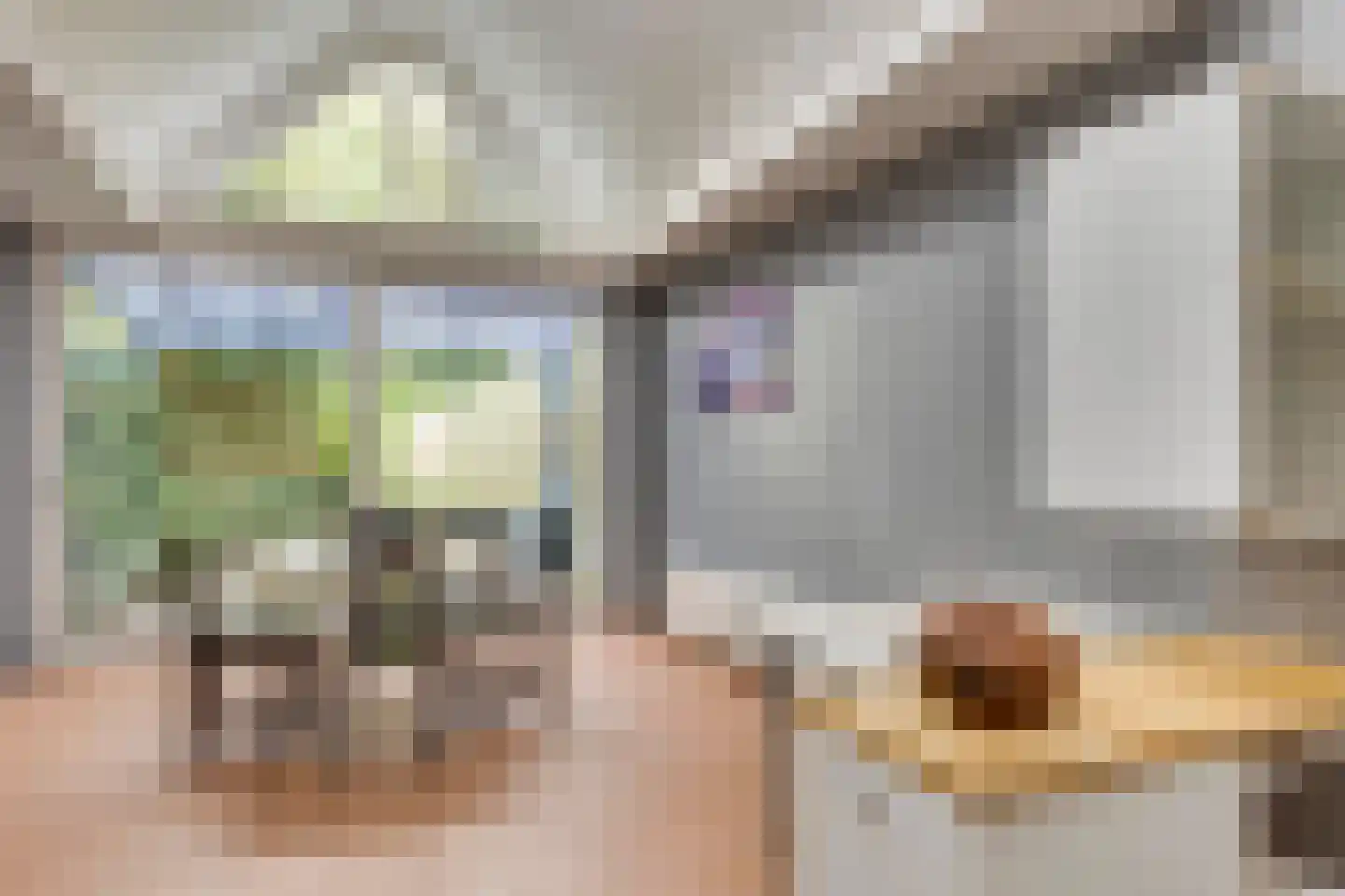 Hoofdstraat 48 Liessel thumbnail 47