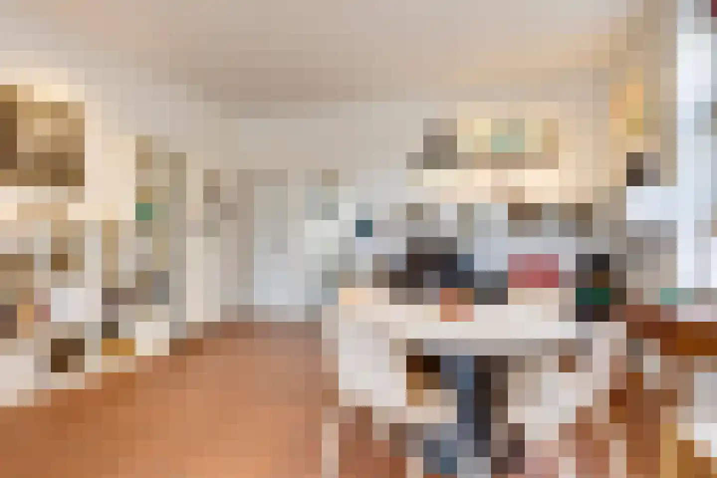 Hoofdstraat 48 Liessel thumbnail 8