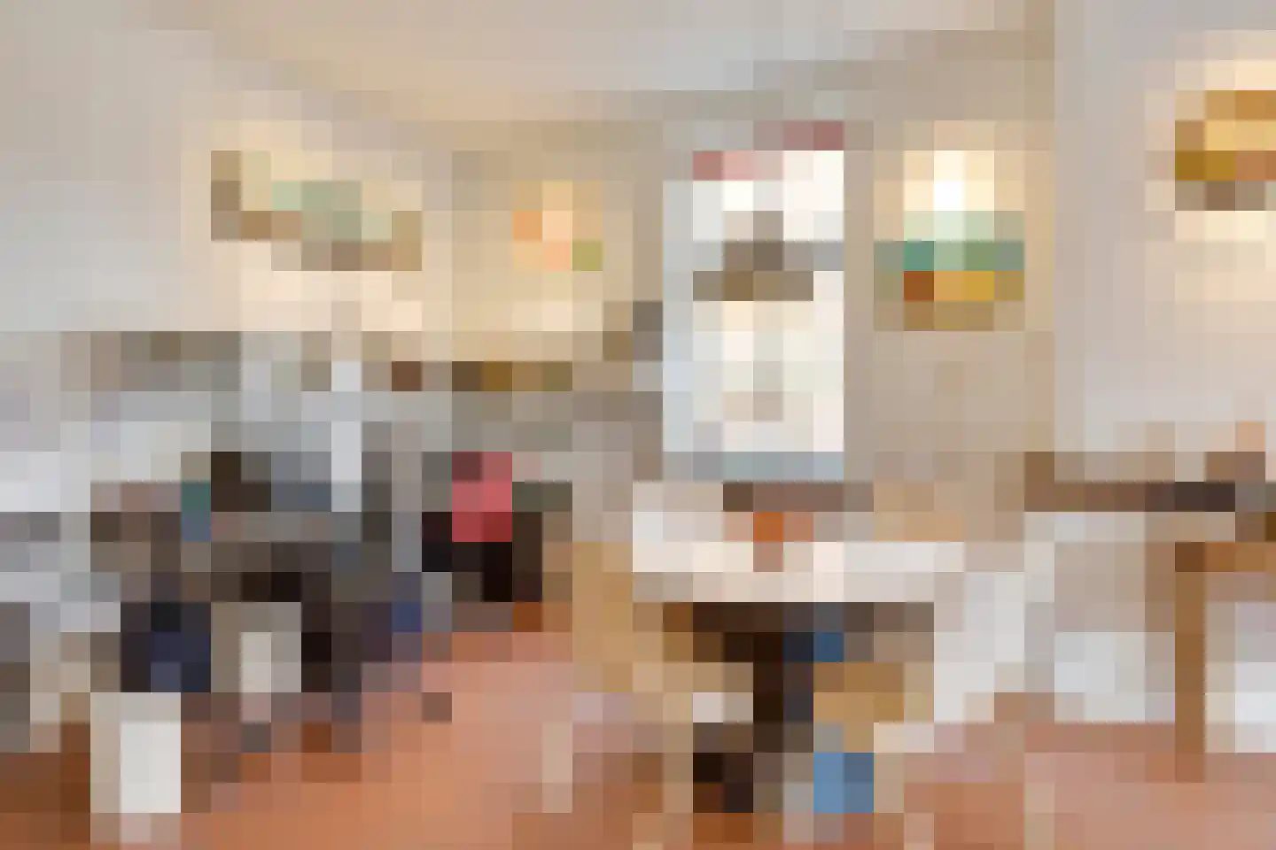 Hoofdstraat 48 Liessel thumbnail 9