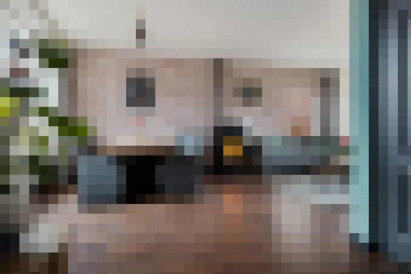 Hoofdstraat 48 Nieuwolda thumbnail 10