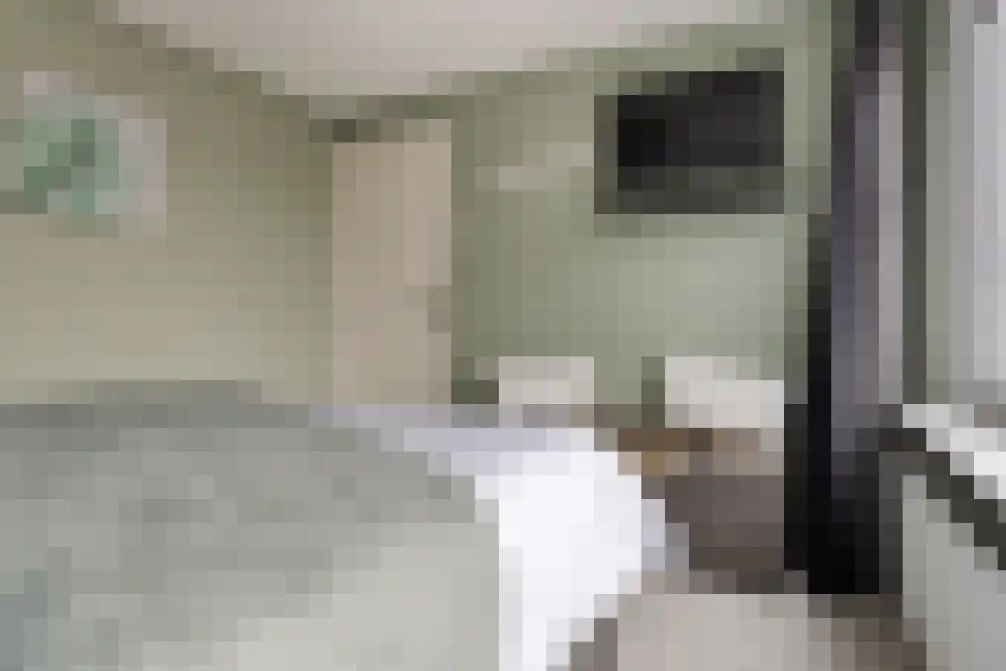 Hoofdstraat 48 Nieuwolda thumbnail 26