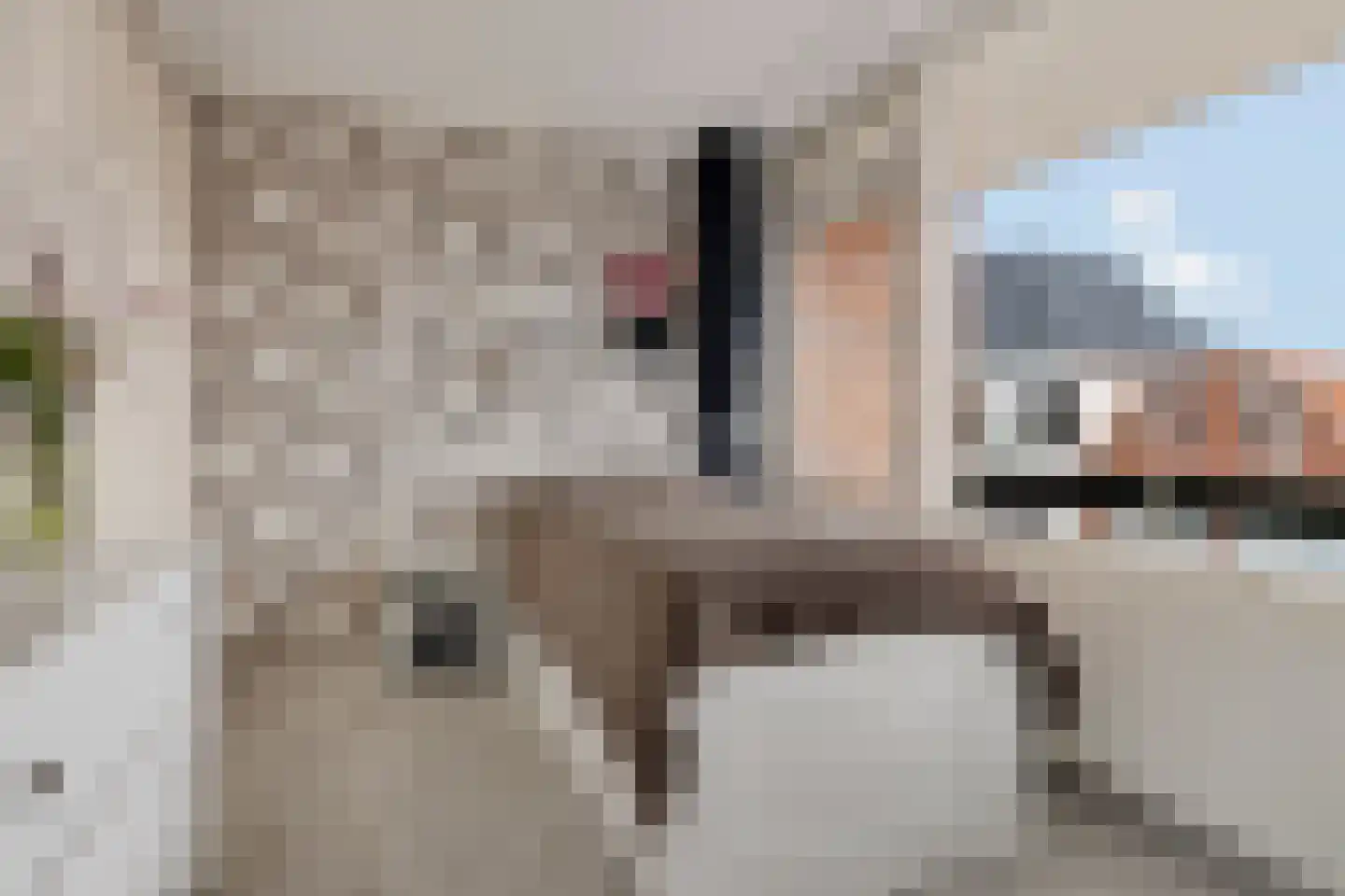 Hoofdstraat 48 Nieuwolda thumbnail 28