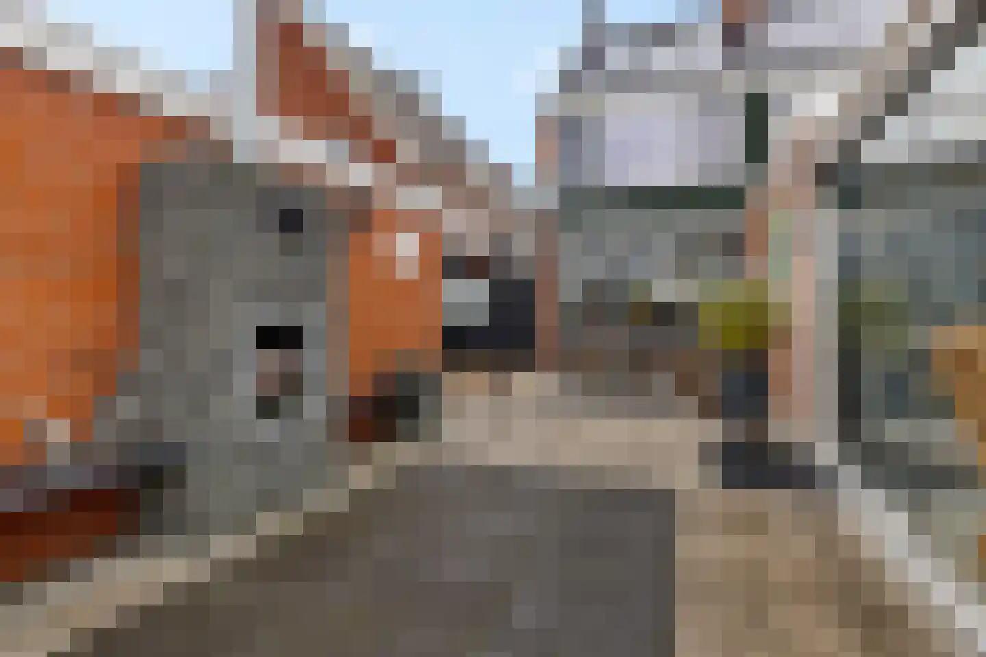 Hoofdstraat 48 Nieuwolda thumbnail 42