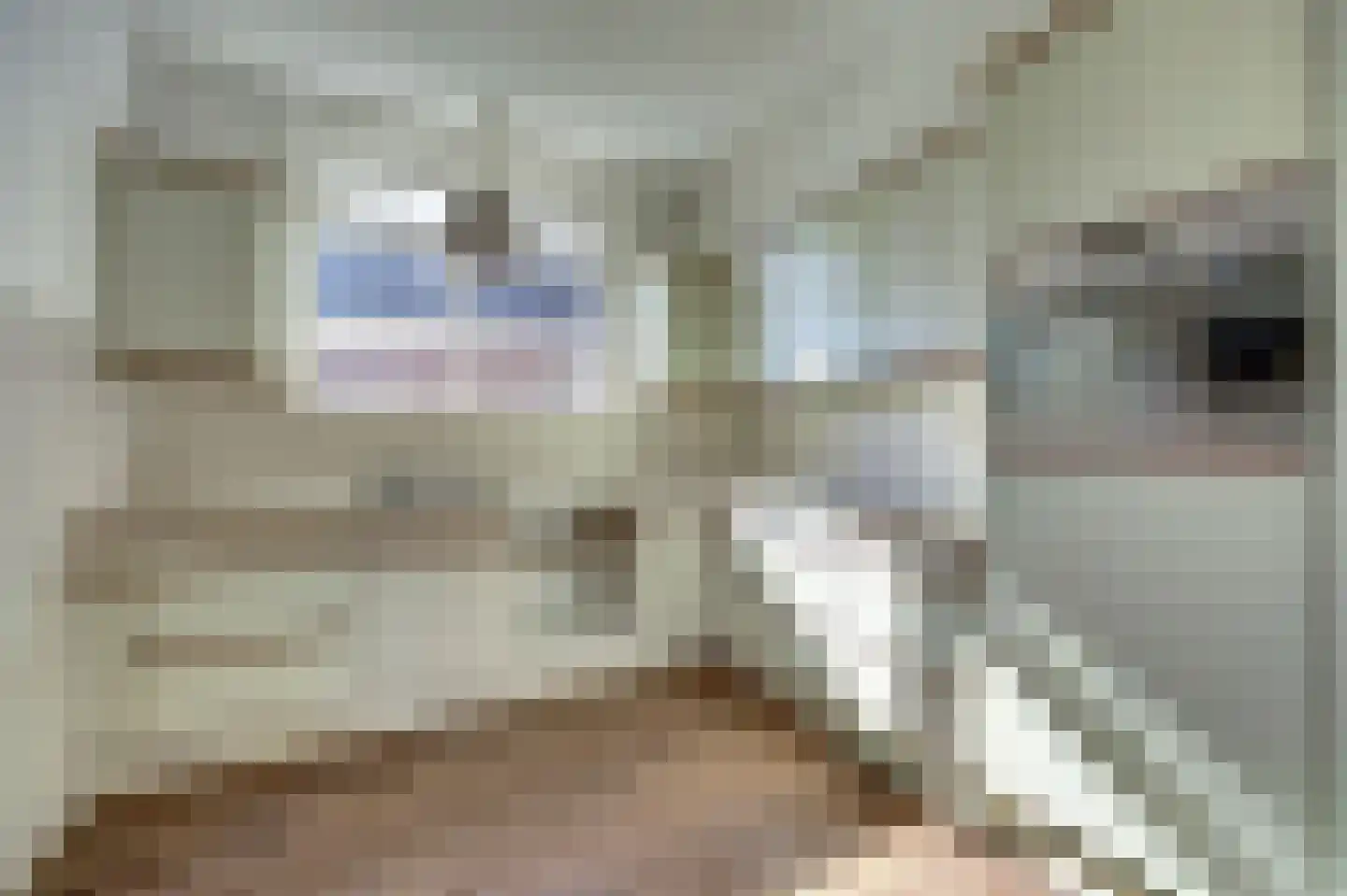 Hoofdstraat 48 Ovezande thumbnail 7