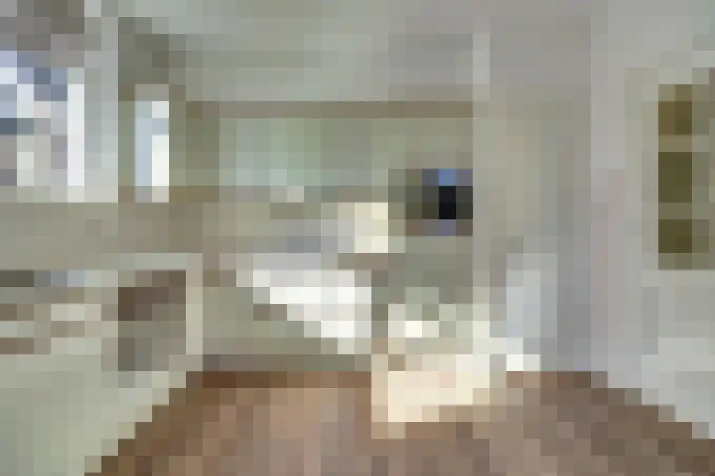 Hoofdstraat 48 Ovezande thumbnail 8