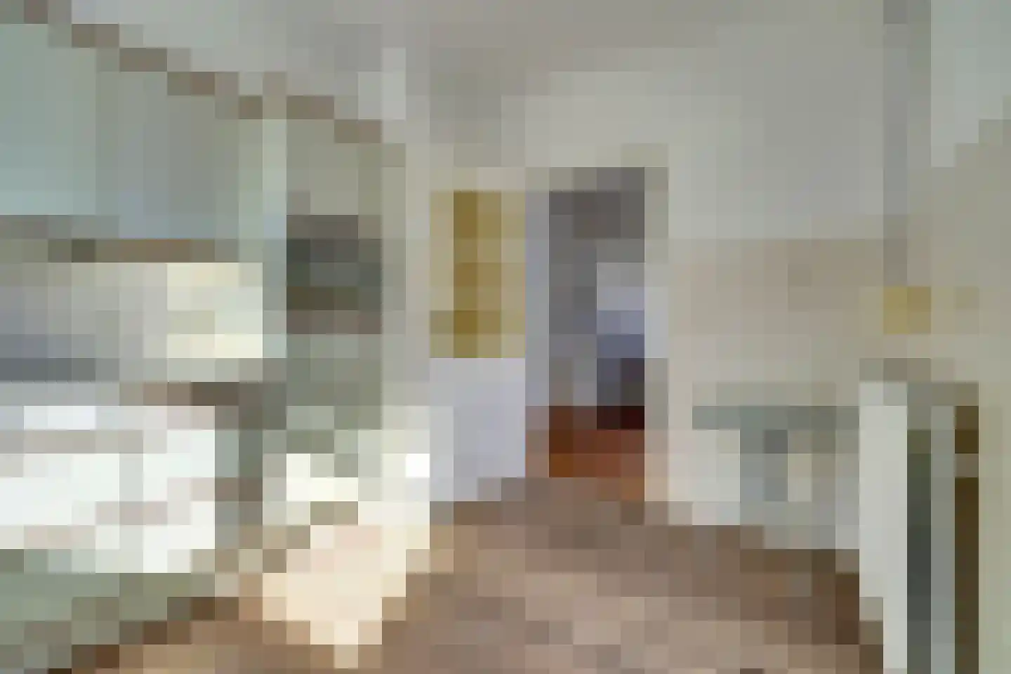 Hoofdstraat 48 Ovezande thumbnail 9