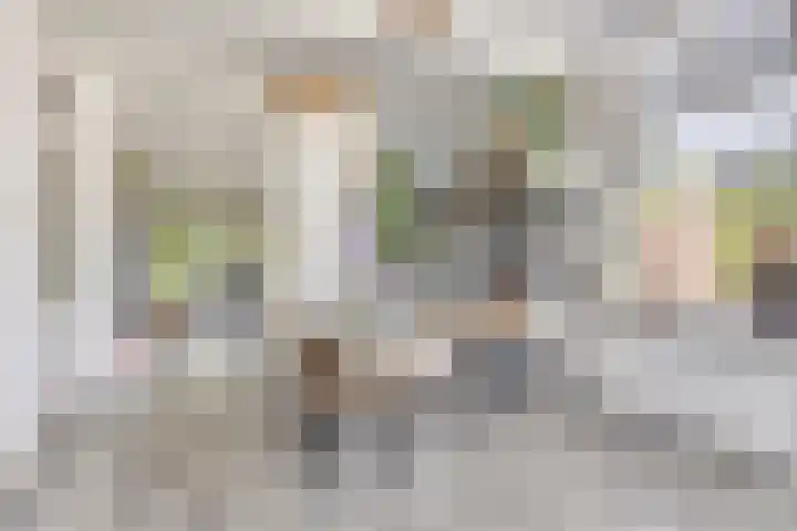 Hoofdstraat 49 Gaanderen thumbnail 25