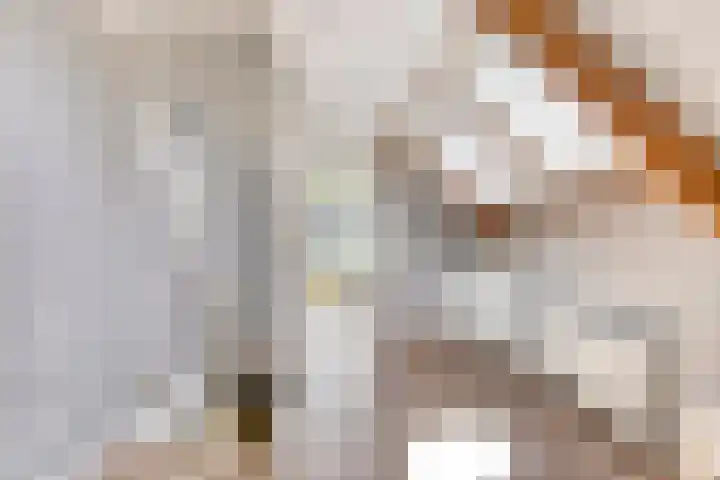 Hoofdstraat 49 Gaanderen thumbnail 30