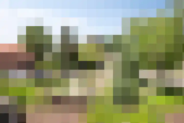 Hoofdstraat 49 Gaanderen thumbnail 38