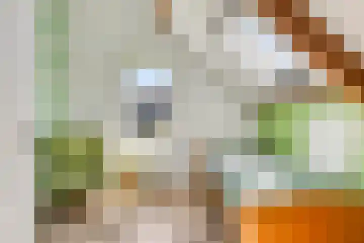 Hoofdstraat 49 Gaanderen thumbnail 39