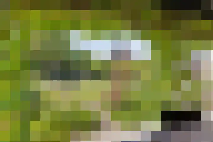 Hoofdstraat 49 Gaanderen thumbnail 45