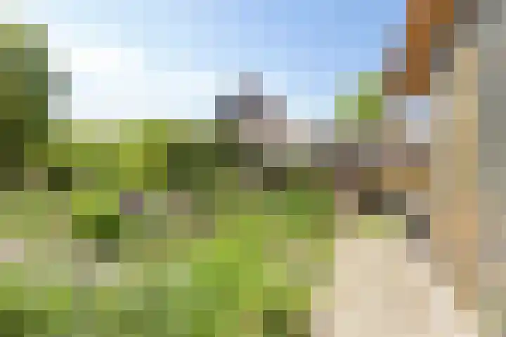 Hoofdstraat 49 Gaanderen thumbnail 50