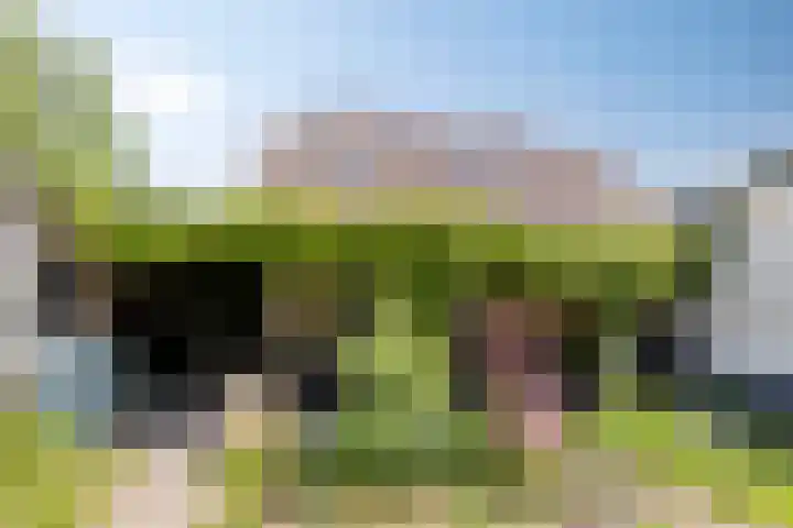Hoofdstraat 49 Gaanderen thumbnail 51