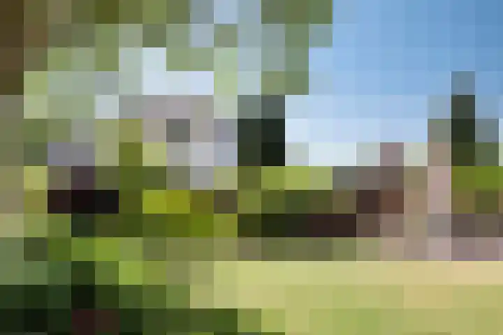 Hoofdstraat 49 Gaanderen thumbnail 52