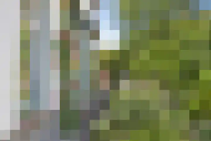 Hoofdstraat 49 Gaanderen thumbnail 54