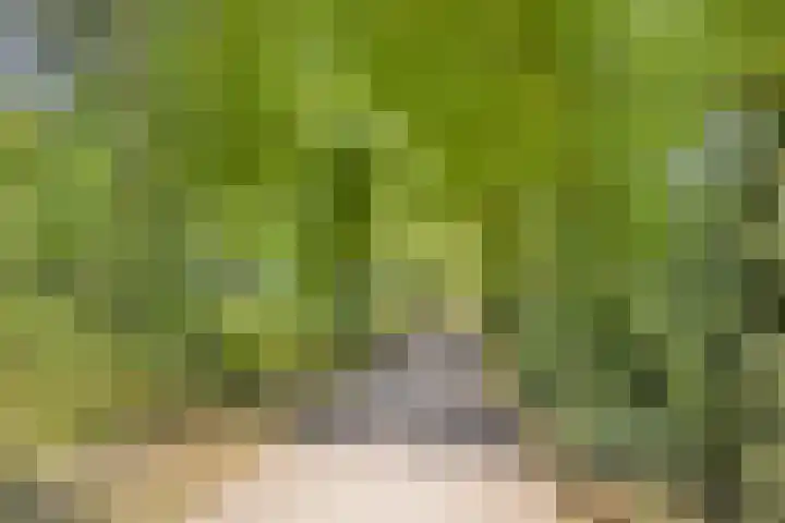 Hoofdstraat 49 Gaanderen thumbnail 63