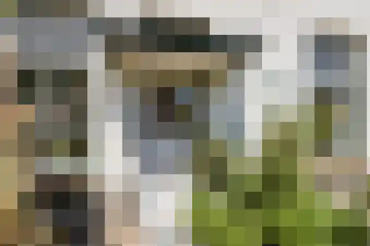 Hoofdstraat 49 Gaanderen thumbnail 7