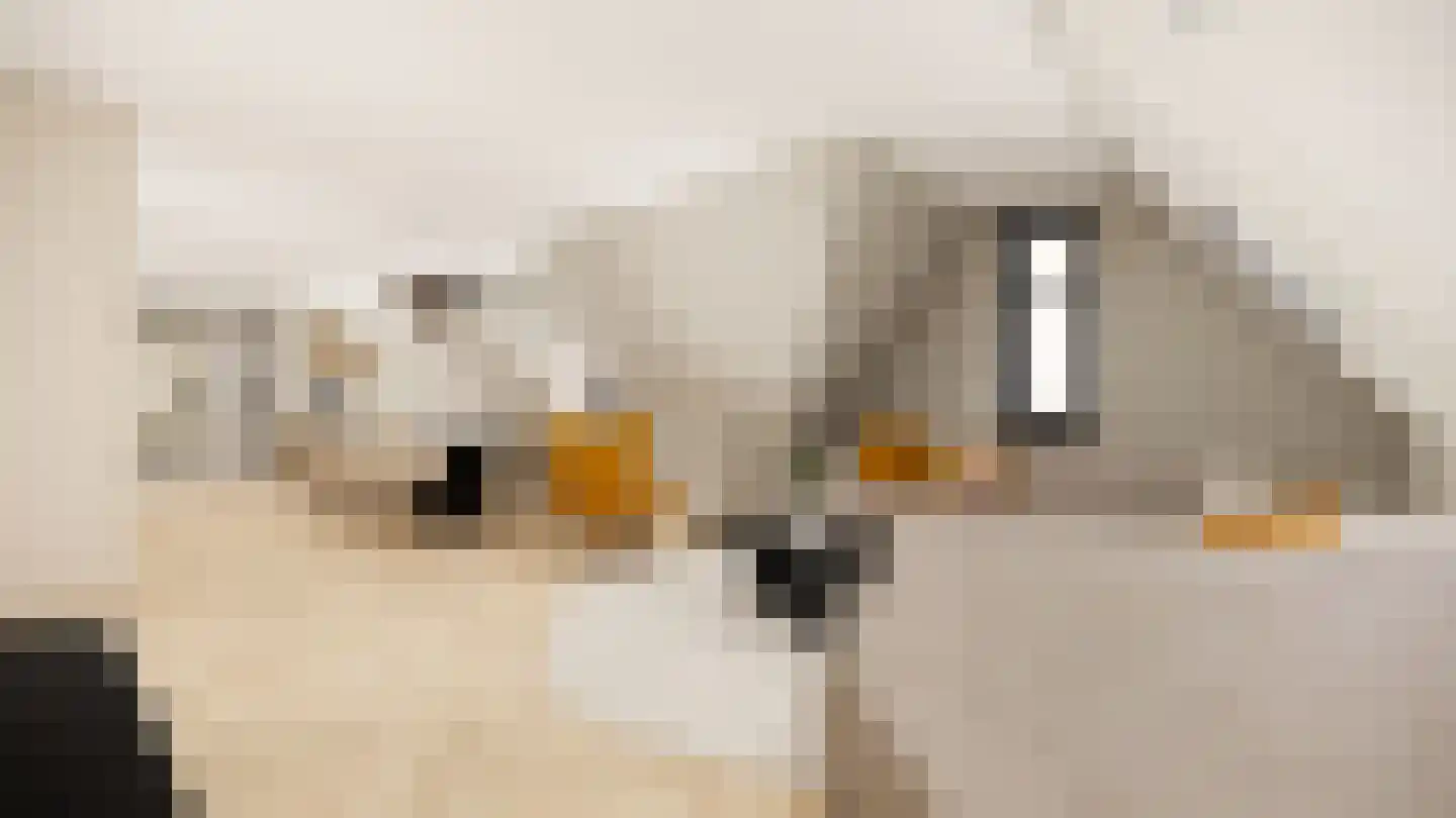 Hoofdstraat 49 Heeswijk-Dinther thumbnail 5